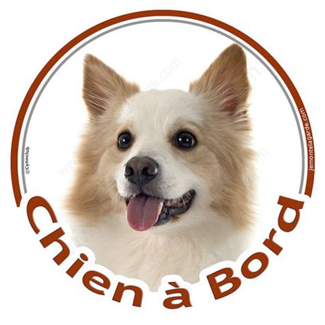 Berger Islandais Sticker Autocollant Rond Chien Bord Cm Voiture