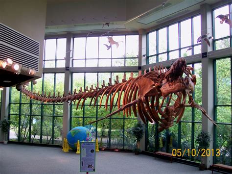 Rockhounding Around: Mississippi Museum of Natural Science