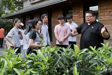 遇见江汉 才聚江城 这个夏天，67名高校学子在江汉开启“职场初体验” 荆楚网 湖北日报网