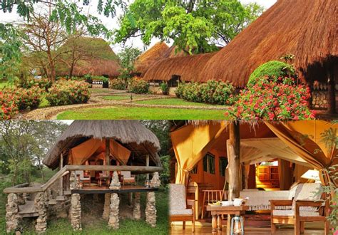 13 Best Eco Lodges In Uganda For Nature Enthusiasts See Africa Today