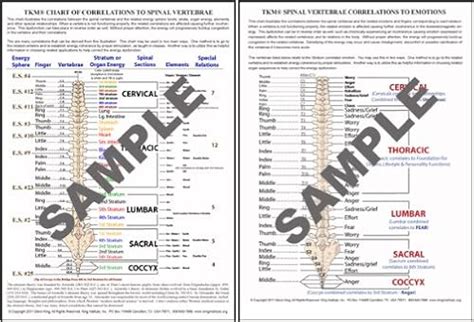 Vertebrae Number Chart: A Visual Reference of Charts | Chart Master