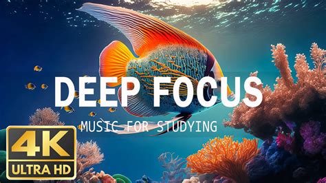 Hours Of K Underwater Wonders Relaxing Music Deep Focus Music