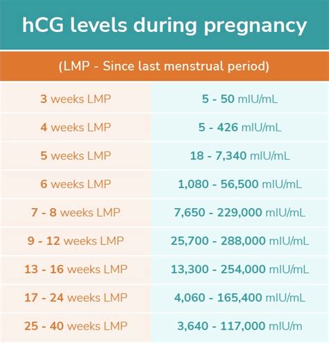 Free Normal Range Hcg Levels Chart Download In Psd 58 Off