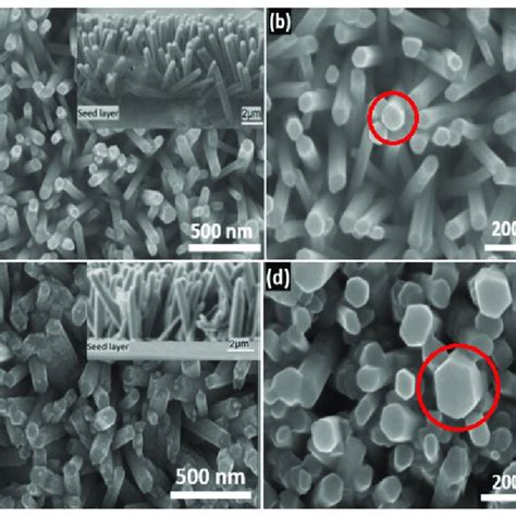 A D High And Low Magnification Fe Sem Images Of Zno Nrs Growth On