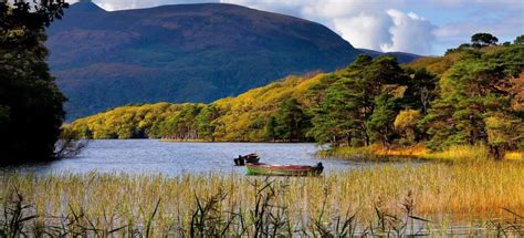 De Beste Rondvaarten Boottochten In Ring Of Kerry Van Gratis