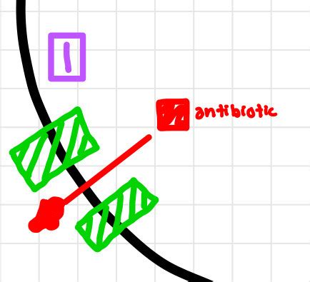 Mechanisms Of Antibiotic Resistance Flashcards Quizlet