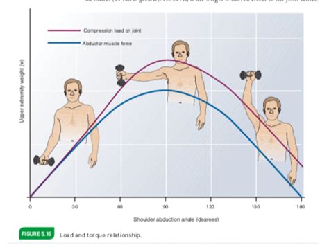 Kinesiology Exam Chapters Flashcards Quizlet