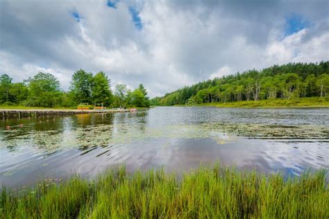 Pendleton Lake At Blackwater Falls State Park West Virginia Stock