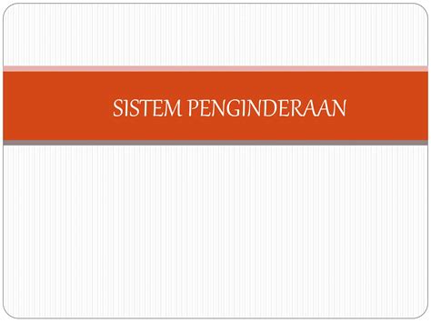 Anatomi Dan Fisiologi Sistem Pengindraan Ppt