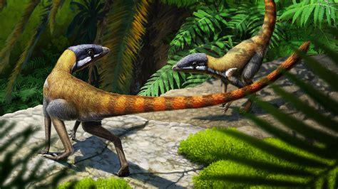 Sprinting Reptiles May Have Been Forerunners Of Soaring Pterosaurs