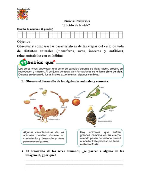 Ciencias Naturales Ciclo De La Vida Pdf