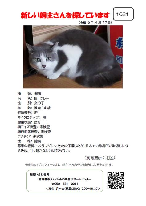 新しい飼主さんを探しています 【1】2024年4月17日掲載 猫の里親、犬の里親、募集中 ～ 名古屋市 人とペットの共生サポートセンター