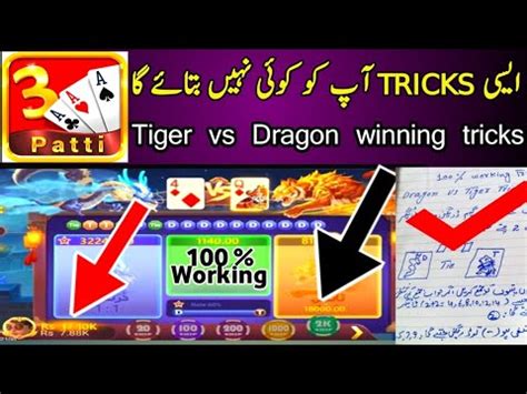 Tiger Vs Dragon Winning Tricks Today 3 Patti Spin Tiger Vs Dragon