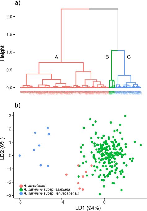 Fruit Dataset 1 A Dendrogram Derived From The Hierarchical Clustering