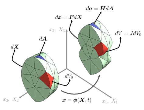 Deformation Map Of A Continuum And Illustration Of The Strain Measures