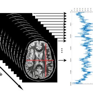 Automatic Classification Of Fmri Signals From Behavioral Cognitive