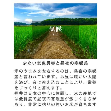 福井精米 令和5年度産 福井県産 あきさかり アキサカリ 精米 10kg 福井精米 通販 ヤマキシオンラインショップ