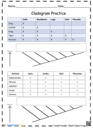 Free Collection of Cladogram Worksheets for Students