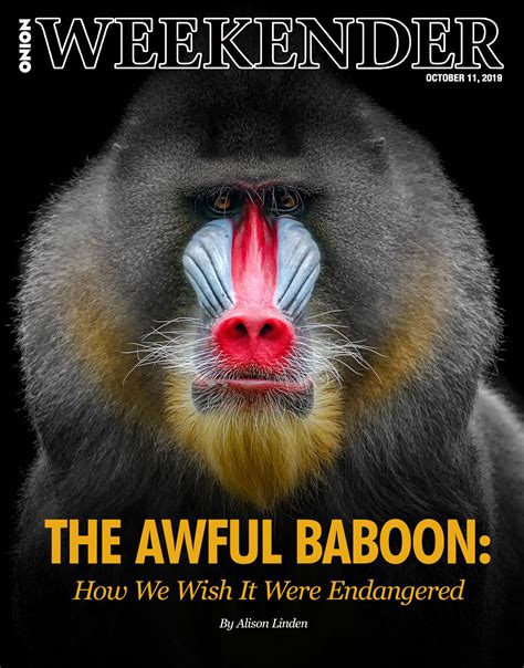 The Awful Baboon : r/funny