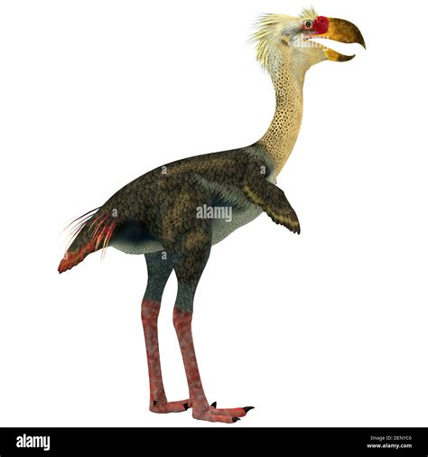 Prehistoric Park Terror Bird