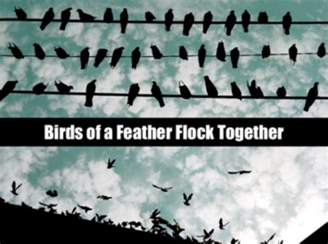 Timeless Truth 7 Birds Of A Feather Flock Together Dmnews