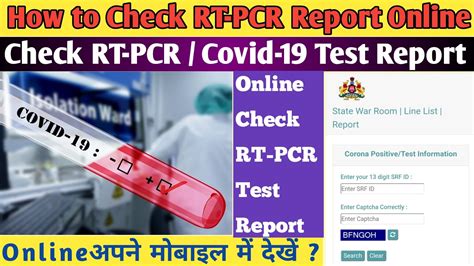 How To Check Rt Pcr Report Online Check Covid Test Report Online