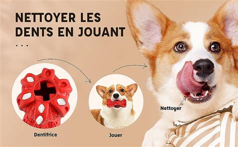 Pleasantsong Couinement Jouet pour Chien 3 in 1 Caoutchouc Jouet à