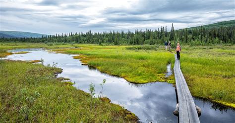 The Ultimate Alaska Travel Guide Earth Trekkers