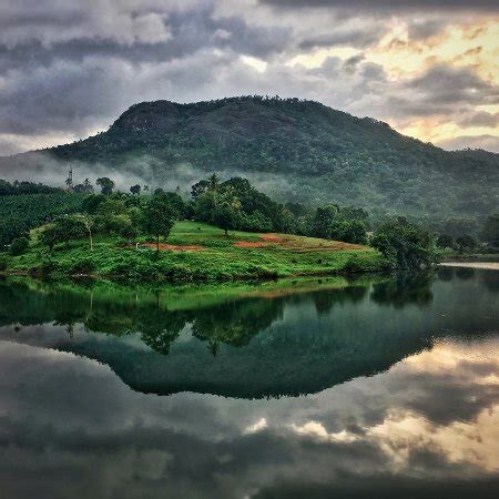 Kerala Wildlife Photography