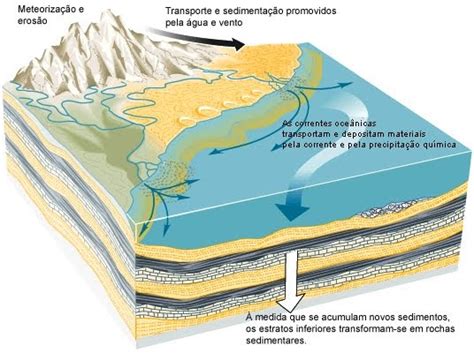 Biologia E Geologia Forma O Das Rochas Sedimentares