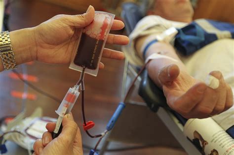 Are Bans On Blood Donations From Gay Men Outdated Or Necessary Newsweek