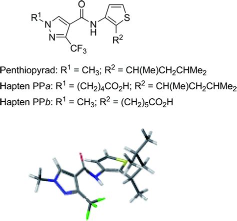 Haptens Bioconjugates And Antibodies For Penthiopyrad Immunosensing