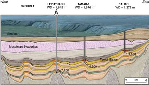 Representative Geologic Section Across The Tamar 1 Dalit 1 And Download Scientific Diagram