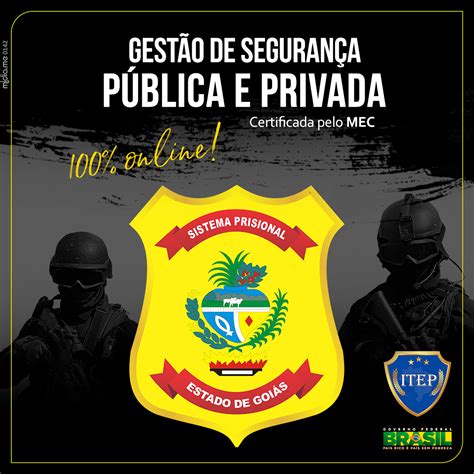 Curso De Gestão De Segurança Pública E Privada Antonio Luiz Hotmart