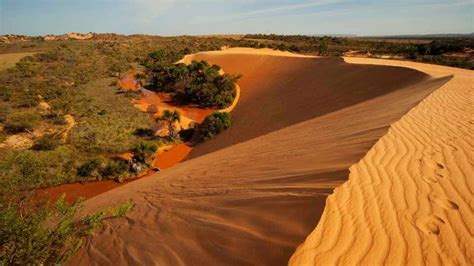 Op Es De Destinos Para Fazer Ecoturismo No Brasil