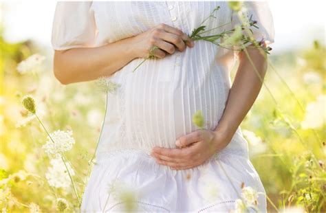 Gemmothérapie Comment booster sa fertilité naturellement