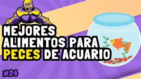 Cuáles son los mejores alimentos para peces de acuario Academia