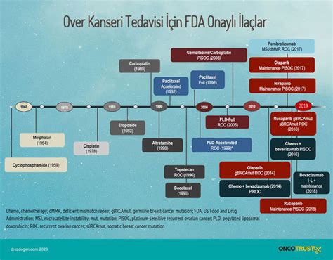 Yumurtalık Over Kanseri Belirtileri Evreleri ve Tedavisi Prof Dr