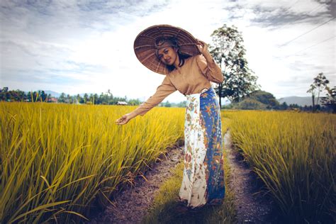 Free Images People In Nature Paddy Field Agriculture Yellow Grass