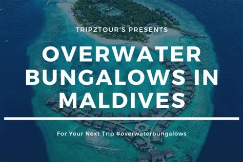 10 Bucket List Overwater Bungalows in Maldives | TripZtour