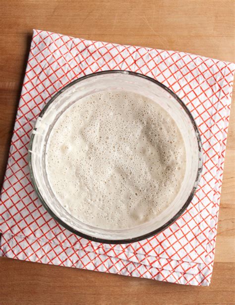 How To Make Sourdough Starter From Scratch Artofit