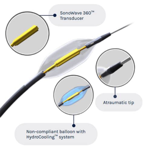 Otsuka Medical Devices And Recor Medical Submit Premarket Approval Of Paradise Ultrasound Renal