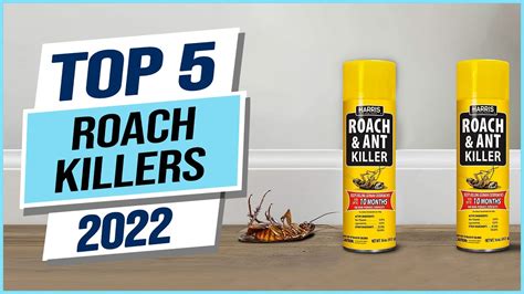 Top 5 Best Roach Killers 2023 YouTube