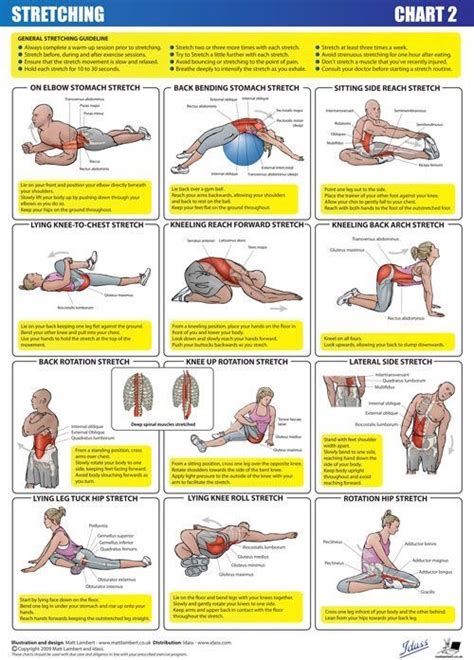 24 best Exercises For Lower Back Pain images on Pinterest | Stretching ...