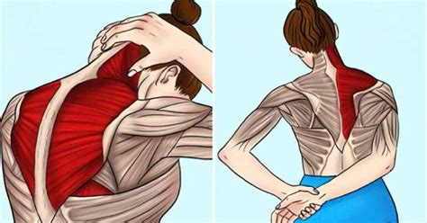 7 Exercices Simples Et Efficaces Pour Soulager Les Douleurs Cervicales Et Réduire Les Tensions