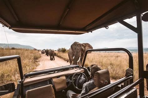 Safari Expeditions Tanzania Be The First To Write A Review