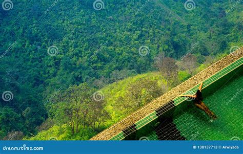 A Beautiful Resort & Spa on the Mountain View Pool with Women Stock ...