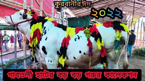 গাবতলী হাটের সব বড় বড় গরু কালেকশন ০৫০৭২০২২ Youtube