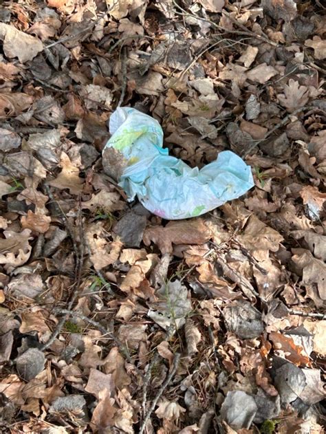 Da hat jemand seine Windel im Wald verloren – @crazyprincesslove on Tumblr