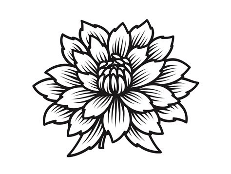 Engaging Dahlia Coloring Art - Coloring Page